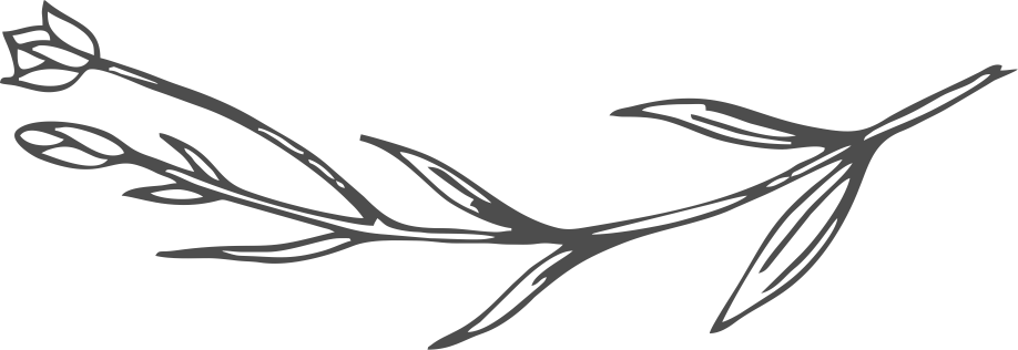 Wholesale | La Petite Alice